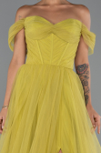 Long Pistachio Green Evening Dress ABU5302
