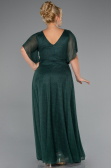 Long Emerald Green Plus Size Evening Dress ABU5323