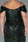 Long Emerald Green Plus Size Evening Gown ABU5232