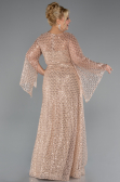 Long Gold Beaded Plus Size Evening Gown ABU5243