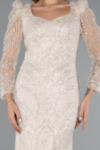 Long Beige Beaded Evening Dress ABU5387