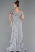 Long Grey Beaded Plus Size Engagement Dress ABU5444