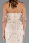 Long Beige Beaded Evening Dress ABU5477