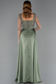 Olive Drab Long Beaded Plus Size Engagement Dress ABU4761