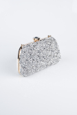 Gold-Silver Night Bag SH849