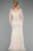 Long Beige Beaded Evening Dress ABU5387