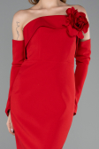 Long Red Evening Dress ABU5629