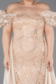 Gold Long Beaded Plus Size Evening Dress ABU5155