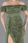 Long Olive Drab Dantelle Evening Dress ABU5728