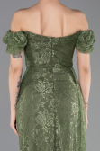Long Olive Drab Dantelle Evening Dress ABU5728