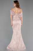 Long Powder Color Dantelle Mermaid Evening Gown ABU5822