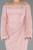 Long Powder Color Dantelle Plus Size Evening Gown ABU5880
