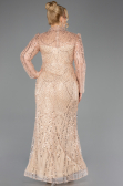 Gold Long Beaded Plus Size Evening Gown ABU5643