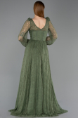 Olive Drab Long Dantelle Evening Dress ABU5797