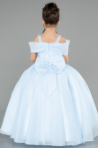 Long Light Blue Satin Kid Wedding Dress ABG175