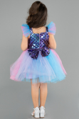 Short Rins Girl Dress ABK2578