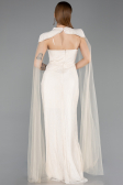 Long Beige Dantelle Evening Dress ABU5941