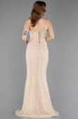 Long Beige Dantelle Mermaid Evening Gown ABU5993