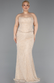 Long Beige Dantelle Plus Size Evening Gown ABU5994
