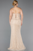 Long Beige Dantelle Plus Size Evening Gown ABU5994