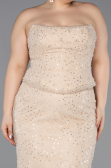Long Beige Dantelle Plus Size Evening Gown ABU5994