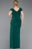 Long Emerald Green Plus Size Evening Gown ABU5900