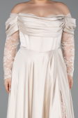 Beige Long Satin Formal Plus Size Dress ABU5261