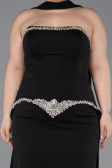 Long Black Plus Size Evening Dress ABU6015
