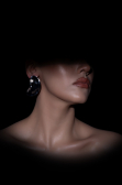 Silver Earring DF1013
