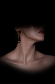 Burgundy-Gold Earring DF1042