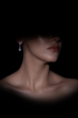 Swarovski Earring LZ1119