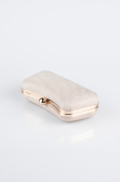 Gold Night Bag KC249