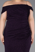Purple Long Plus Size Evening Gown ABU5714