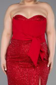 Long Red Beaded Plus Size Evening Dress ABU5989