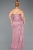 Long Powder Color Beaded Plus Size Evening Dress ABU5989