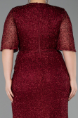 Burgundy Long Plus Size Evening Gown ABU4542