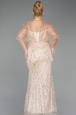 Gold Long Beaded Plus Size Evening Dress ABU5722
