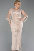 Long Gold Plus Size Evening Gown ABU6301