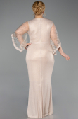 Long Gold Plus Size Evening Gown ABU6301