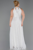 Long White Dantelle Plus Size Evening Dress ABU6330