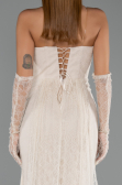 Long Beige Dantelle Mermaid Evening Gown ABU6256