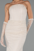 Long Beige Dantelle Mermaid Evening Gown ABU6256