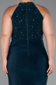 Long Emerald Green Plus Size Evening Dress ABU6415