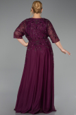 Long Plum Plus Size Evening Gown ABU6489