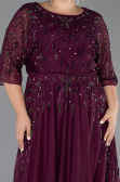 Long Plum Plus Size Evening Gown ABU6489