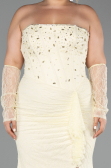 Long Yellow Dantelle Formal Plus Size Dress ABU6364