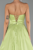 Long Pistachio Green Evening Dress ABU6502