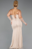 Long Beige Dantelle Formal Plus Size Dress ABU6364