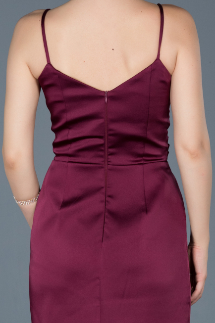 Plum Long Engagement Dress ABU564