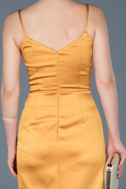 Saffron Long Engagement Dress ABU564